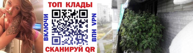 Виды наркотиков купить Рудня Гашиш  Кокаин  МЕФ  A PVP  Каннабис 