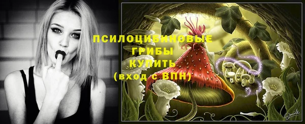 ПСИЛОЦИБИНОВЫЕ ГРИБЫ Няндома