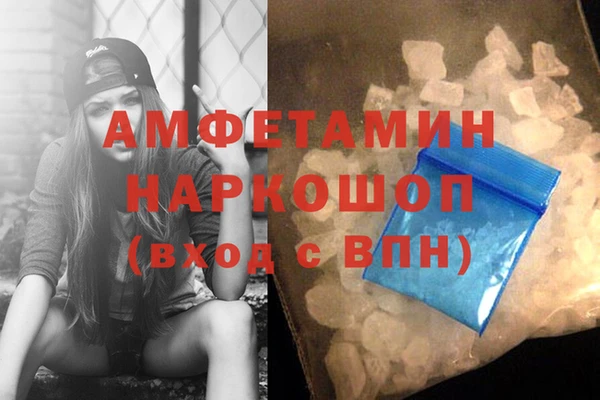 ПСИЛОЦИБИНОВЫЕ ГРИБЫ Няндома