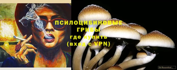 PSILOCYBIN Осташков